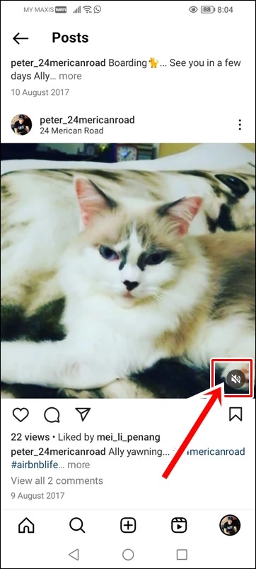 Instagram: Loudspeaker with Backslash