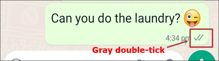 double gray ticks - indicates the recipient has received the message but has yet to read it.