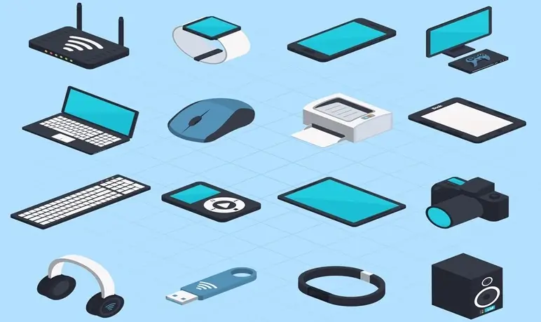 Input and Output Devices