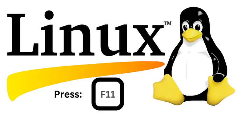 how to make your computer go full screen (Linux)