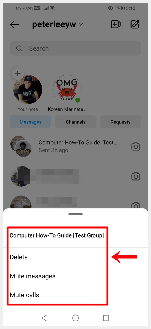 This image shows how to bring out the delete options by long pressing the selected Instagram group chat.