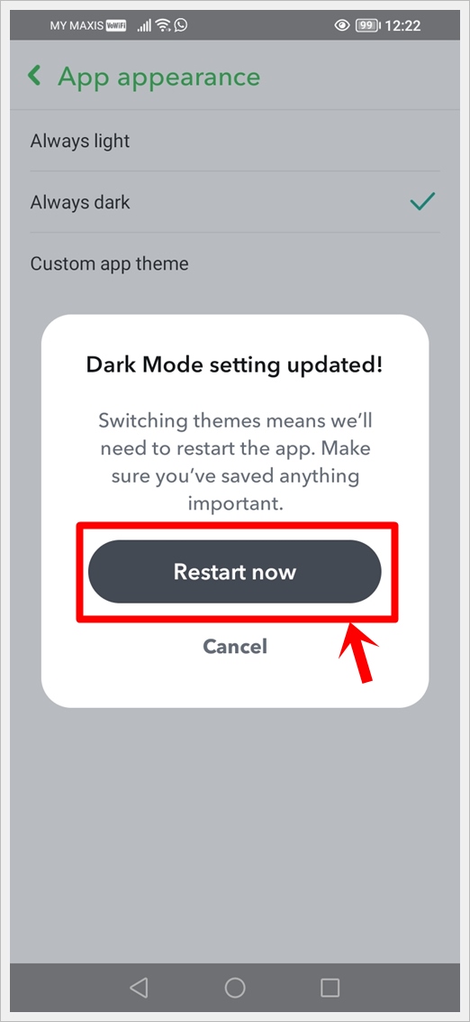 This image displays a screenshot of the Snapchat App Appearance screen on an Android phone. A 