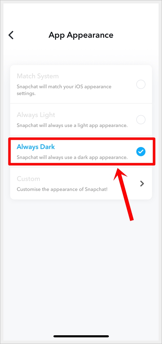 This image shows a screenshot of the Snapchat App Appearance screen on an iPhone. The 