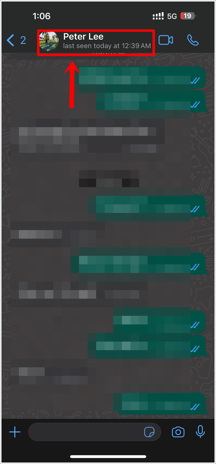 This is a screenshot of a WhatsApp chat window on an iPhone, with the contact