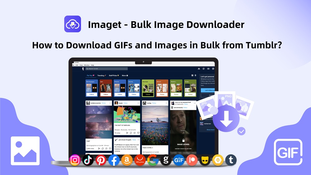How to Download GIFs & Images in Bulk from Tumblr with Imaget?
