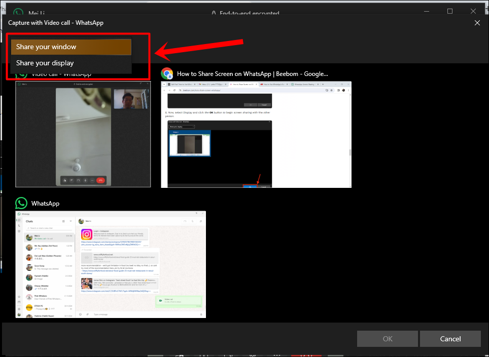 This image shows a screenshot from WhatsApp video call on a Windows PC. It also features the 