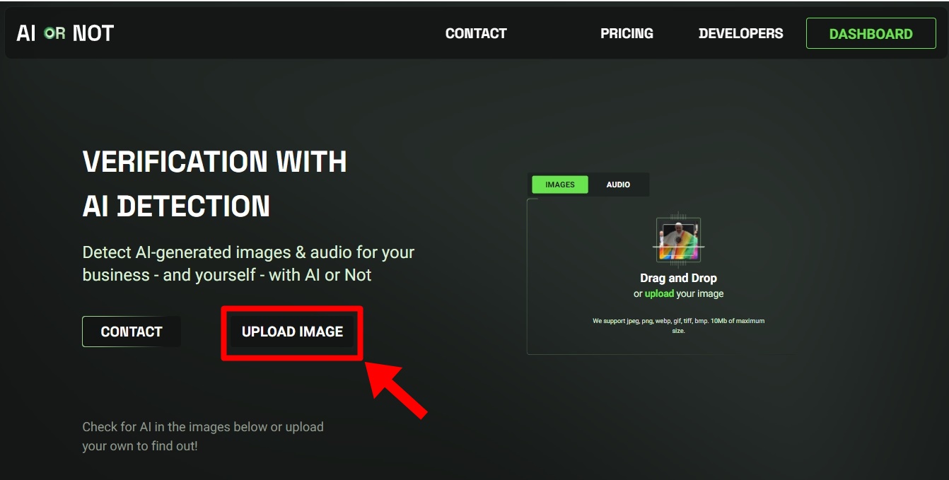 The AI or Not website.