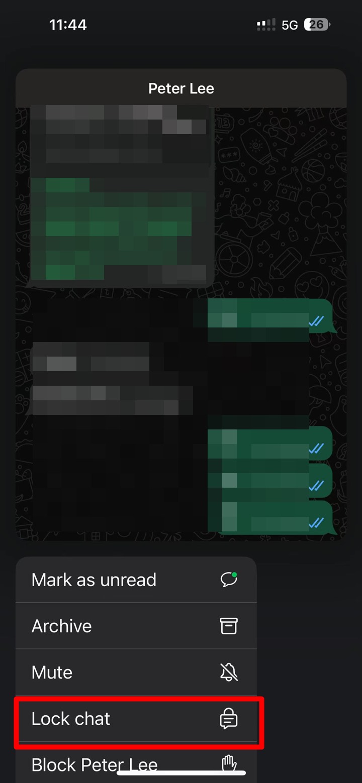 Screenshot of a WhatsApp chat thread on an iPhone, with a menu showing various options. The 