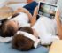 Is an iPad a Good Gift for a Pre-Teen Child?