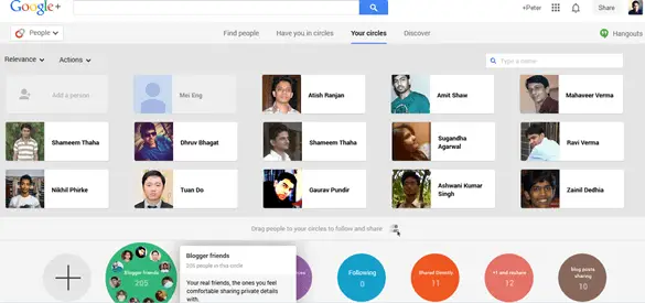 peter lee google+ circles