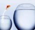 The Real Deal: 3 Technologies That Can Make Your Small Business Look Bigger