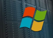 Why You Should Use Windows Hosting