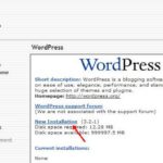 WordPress Installation