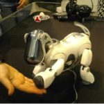 Sony Aibo