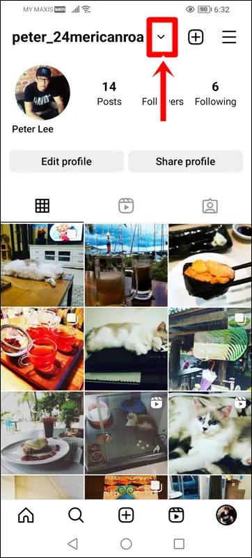 What are The Meanings of Symbols and Icons on Instagram Profile Page: Small Down Arrow Next to Your Username