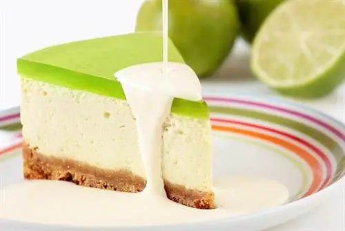 Get Ready for A Slice of Android 5.0 Key Lime Pie