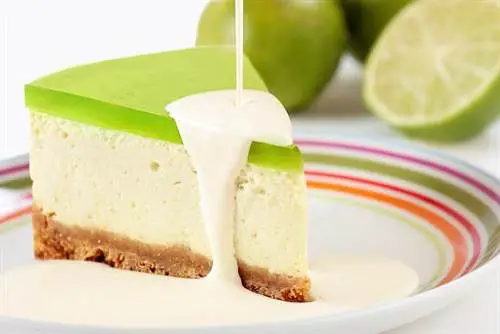 android 5.0 key lime pie