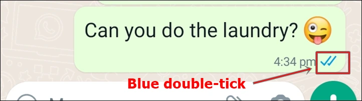double blue ticks - indicates the recipient has opened and read the message.