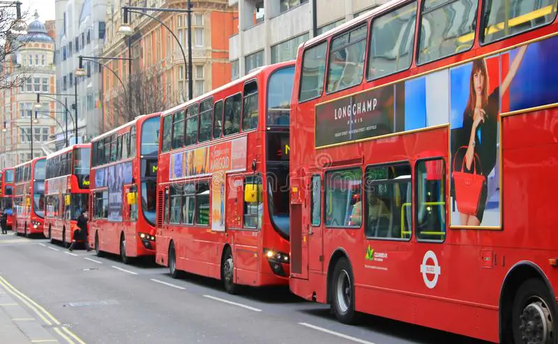 buses on street