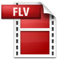 flash video icon