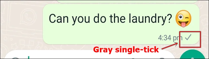gray single tick - indicates message has been sent but the recipient has yet to receive it.