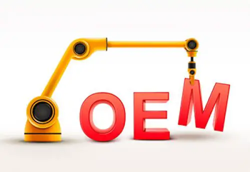OEMs: Electronics and Software