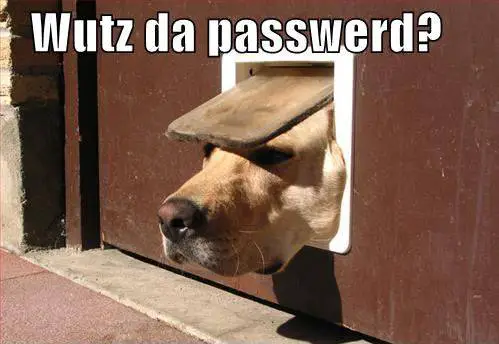 Too many Passwords – How to remember them all?