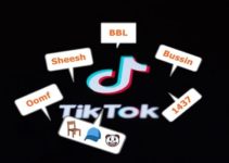 TikTok Slang Words, Phrases, Abbreviations and Emojis, Explained