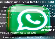 100+ Best Status Lines (About Quotes) for Your WhatsApp Profile