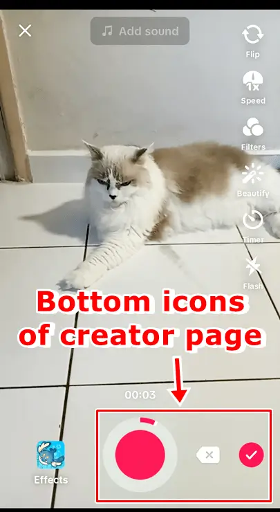 tiktok creator page - bottom icons