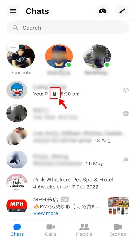 Facebook Messenger symbols & icons - Chats screen: Padlock icon on a contact's name