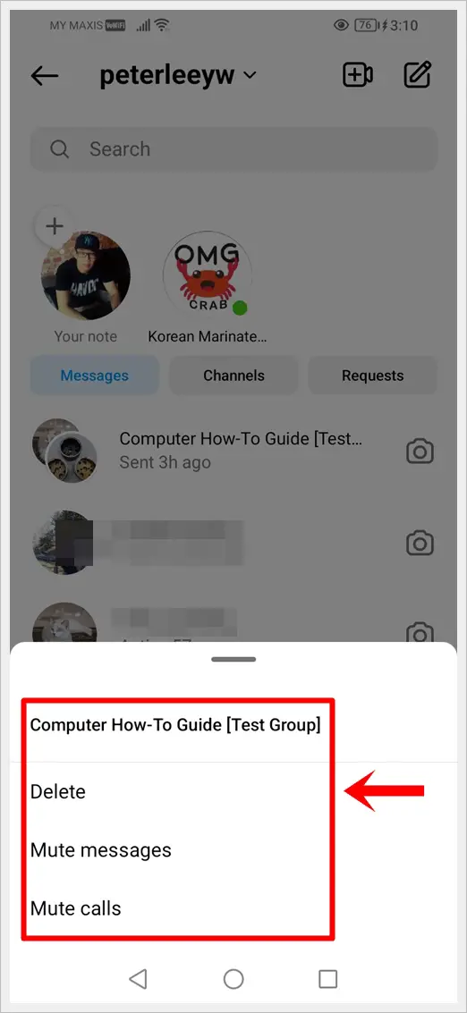This image shows how to bring out the delete options by long pressing the selected Instagram group chat.