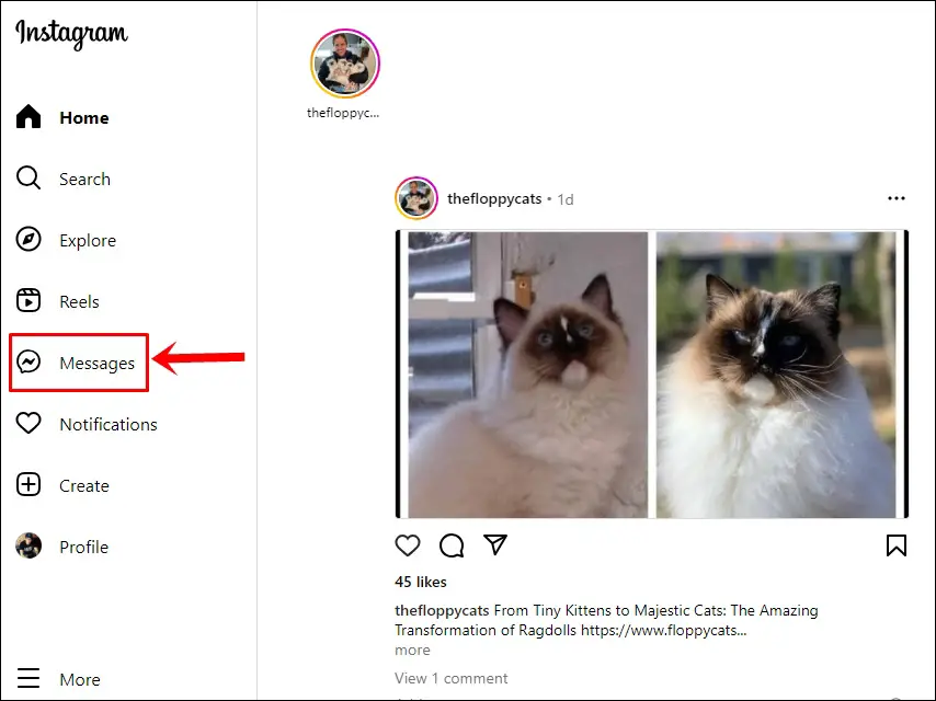 This image shows the Instagram Desktop Home Page - The Messages Icon in the Left Sidebar is Highlighted.