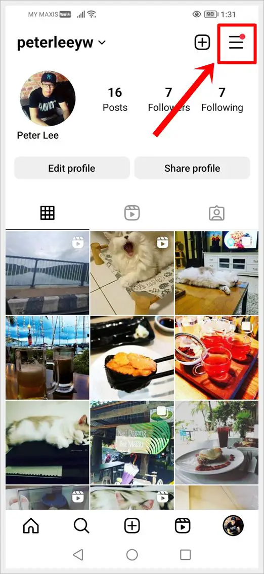 This image shows the user's Instagram profile screen. The 3-Horizontal Lines Icon in the top-right corner is highlighted.
