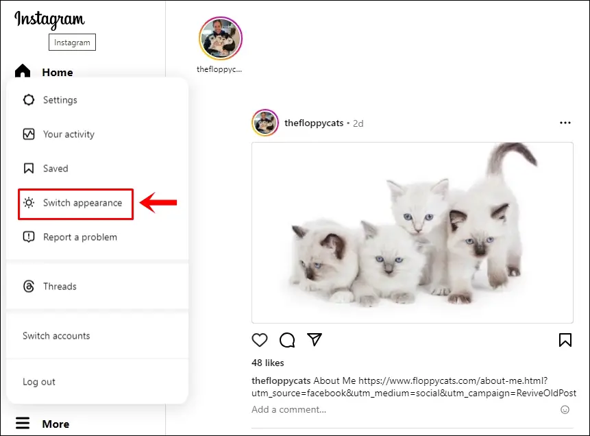 This image shows the Instagram home page on desktop. The "Switch appearance" option in the menu bar is highlighted.