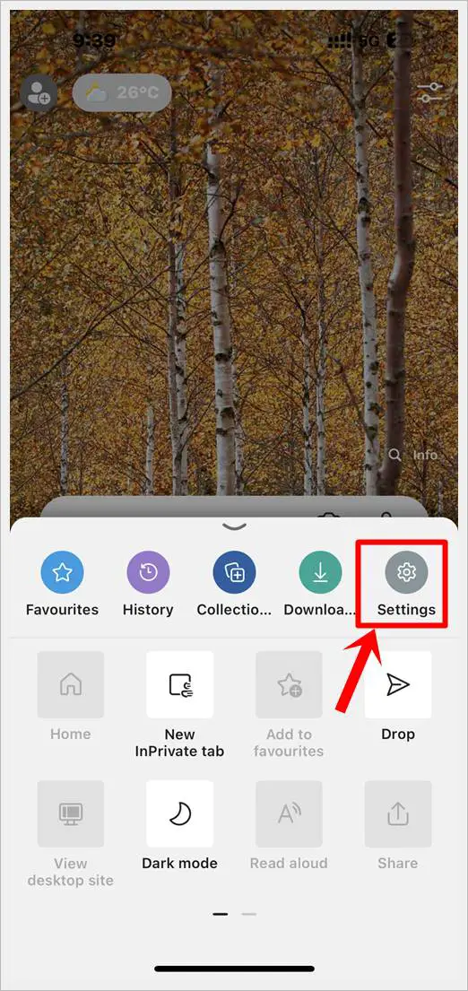 This image shows the "Settings" Icon of Microsoft Edge for iOS is highlighted.