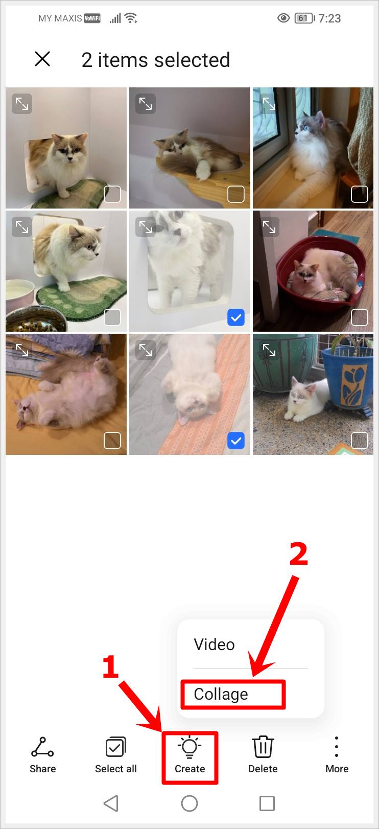 This image shows a screenshot of 2 randomly selected photos in the 'Gallery' app of an Android phone. The 'Collage' option has been highlighted indicating the intention of merging the 2 photos.