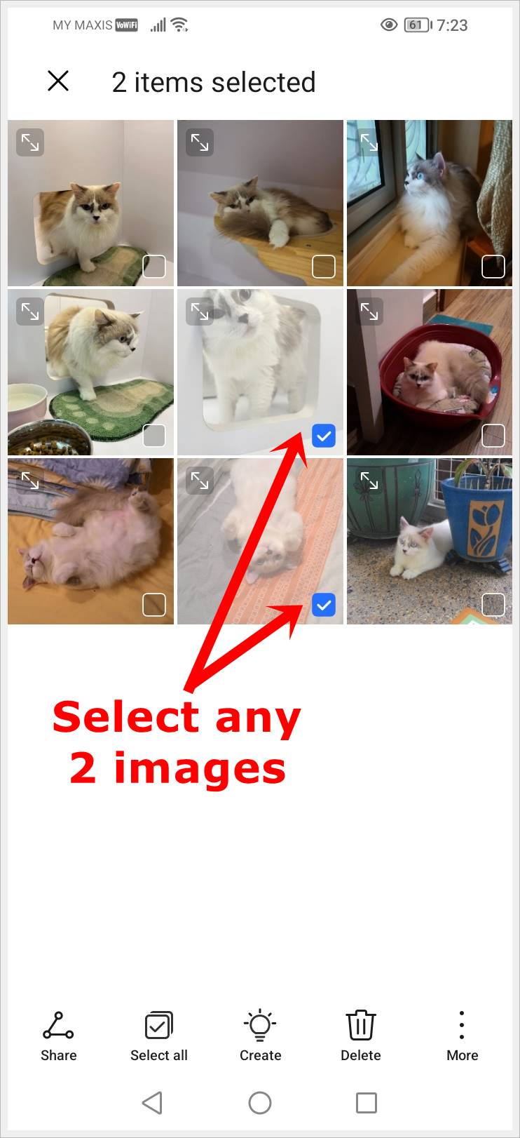 This image shows a screenshot of photos saved in the 'Gallery' of an Android phone. Two photos are highlighted indicating they are selected to be merged.