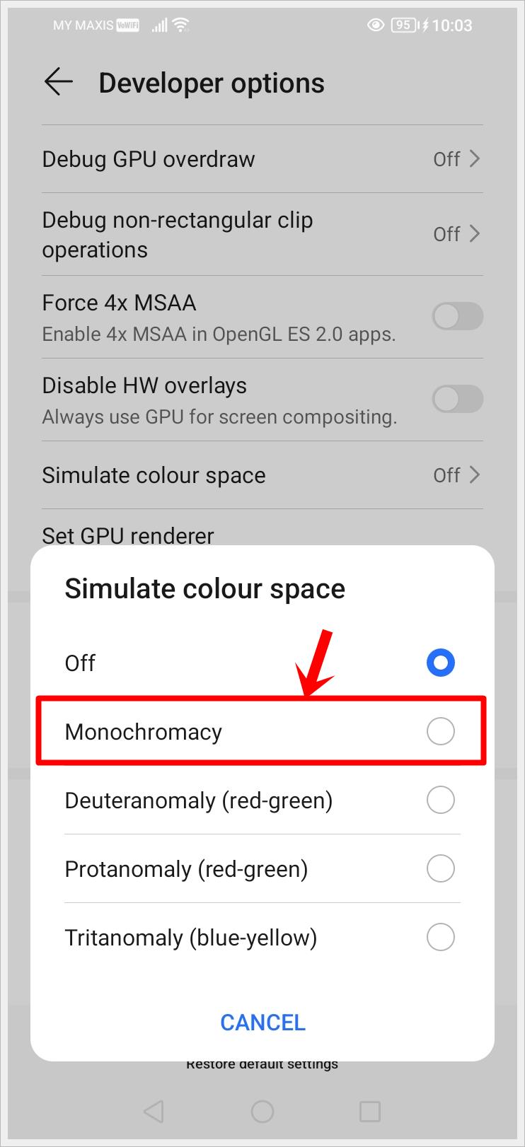 How to Make Your Phone Screen Display in Black and White: This image shows a screenshot of the 'Developer Options' page with the 'Simulate Color Space' pop-up menu opened. The 'Monochromacy' option is highlighted.