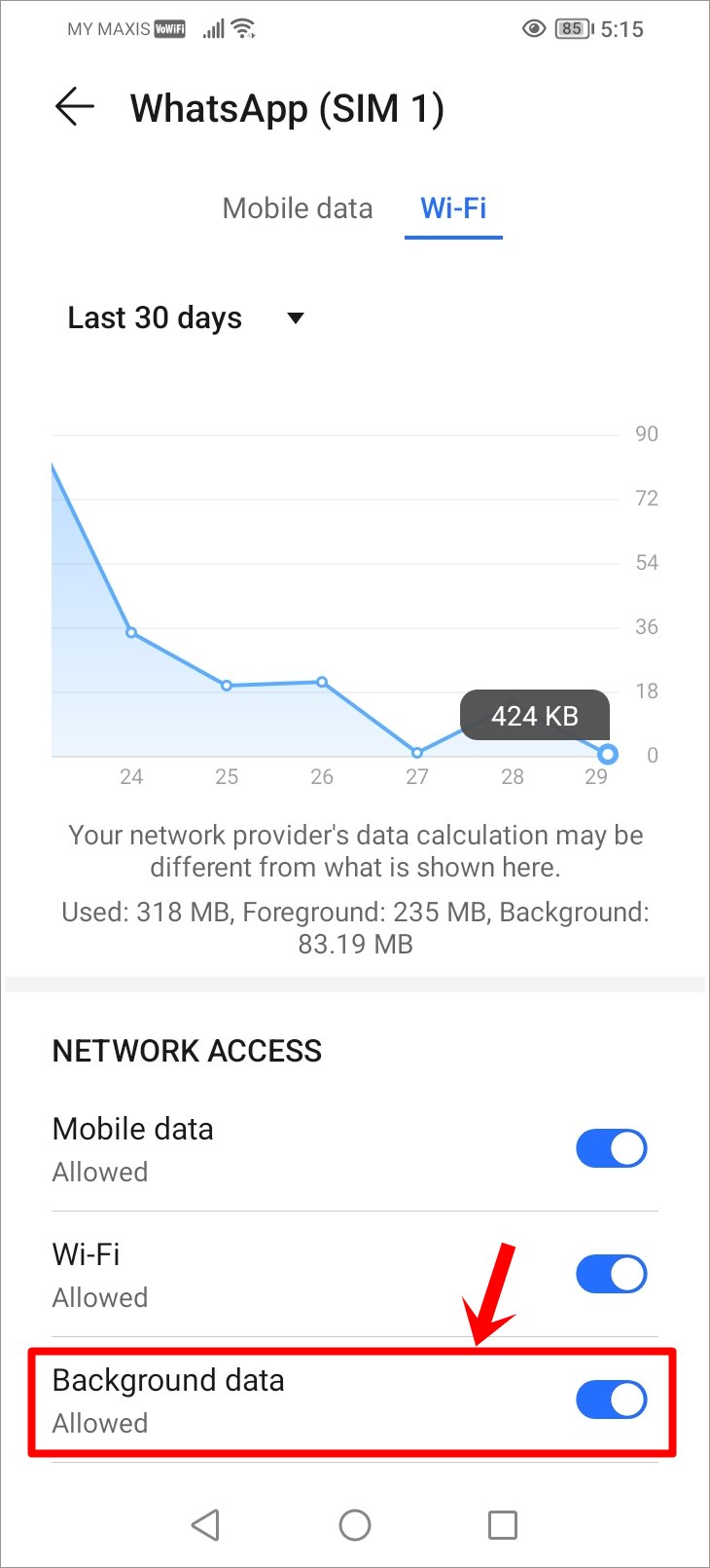 Fix WhatsApp Not Receiving Messages: This is a screenshot of the 'Data Usage' page of WhatsApp on an Android phone. The 'Background Data' option is toggled on and highlighted.