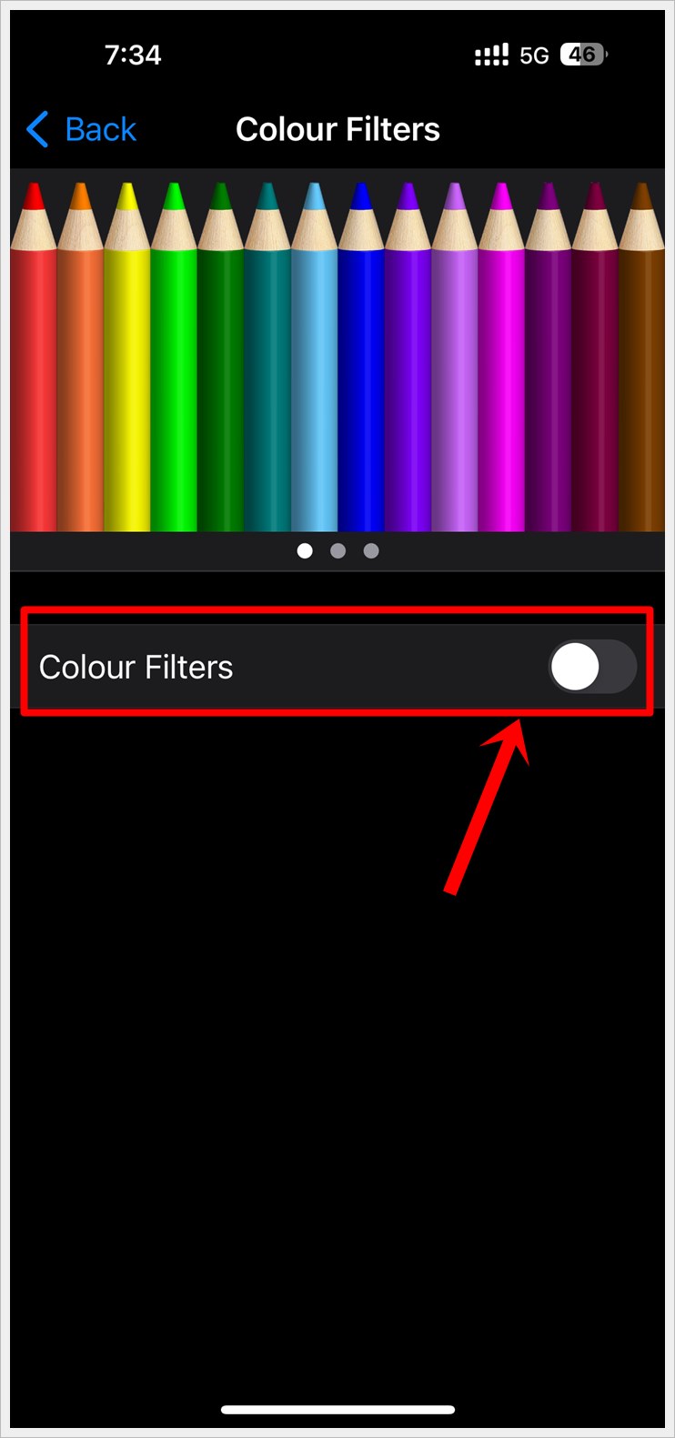 How to Make Your Phone Screen Display in Black and White: This image shows a screenshot of the 'Color Filters' page of an iPhone. The toggle on/off button of 'Color Filters' is highlighted.