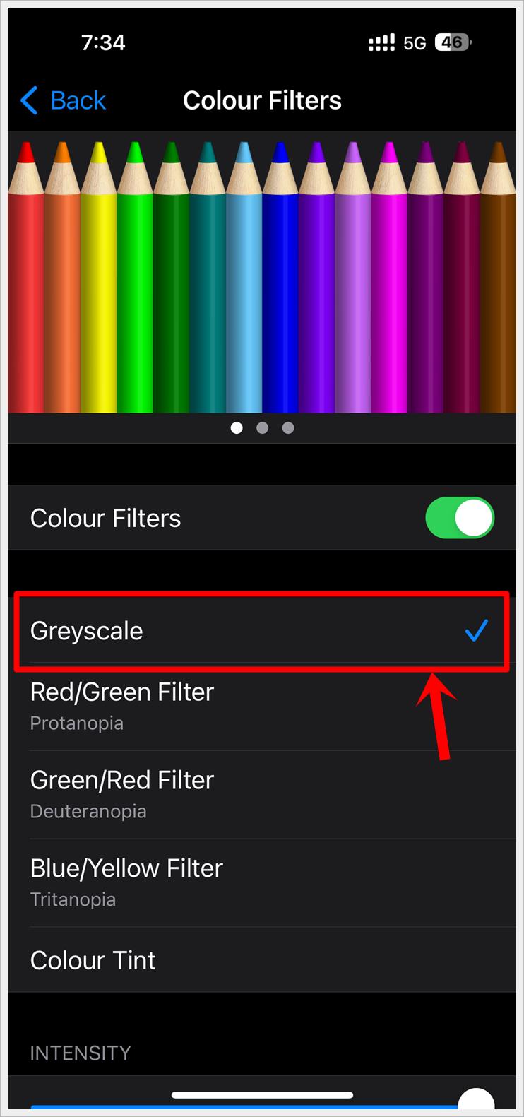 How to Make Your Phone Screen Display in Black and White: This image shows a screenshot of the 'Color Filters' page of an iPhone. The 'Color Filters' has been toggled on and the 'Grayscale' option highlighted.