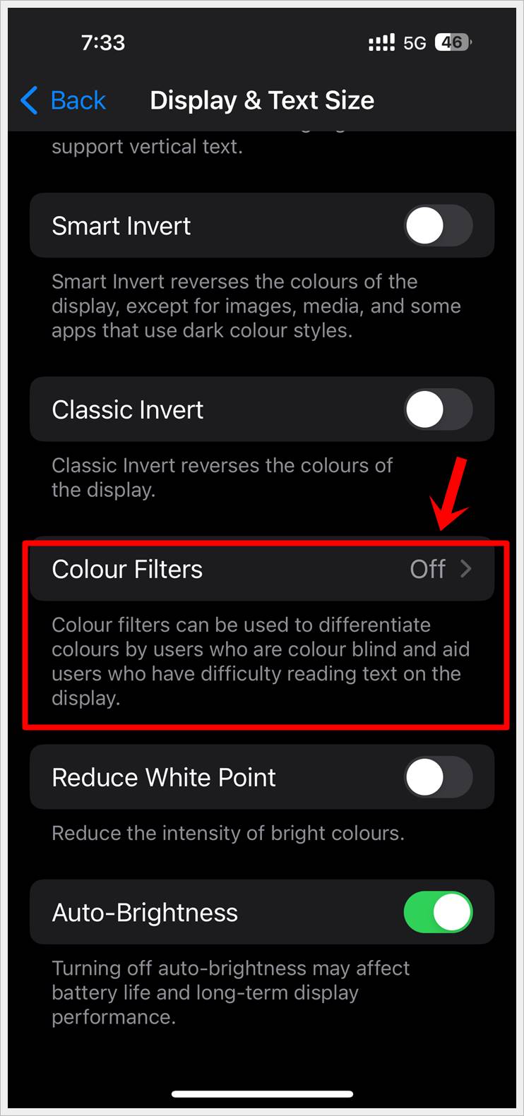 How to Make Your Phone Screen Display in Black and White: This image shows a screenshot of the 'Display & Text Size' page of an iPhone with the 'Color Filters' option highlighted.