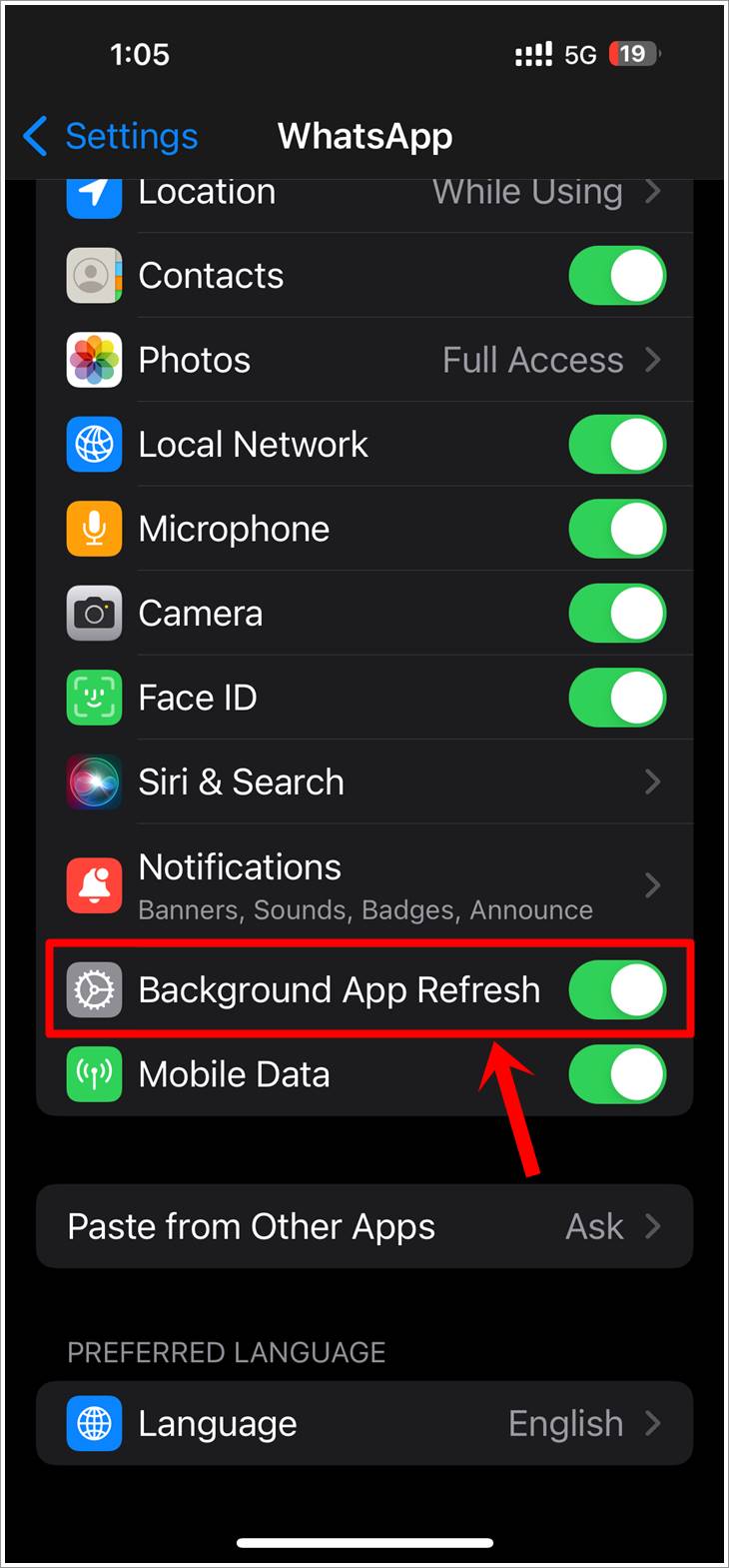 Fix WhatsApp Not Receiving Messages: This is a screenshot of the iPhone 'Settings' for WhatsApp. The 'Background App Refresh' option has been toggled on and highlighted.