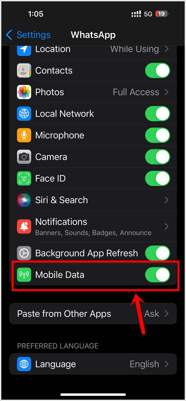Fix WhatsApp Not Receiving Messages: This is a screenshot of the iPhone 'Settings' for WhatsApp. The 'Mobile Data' option has been toggled on and highlighted.