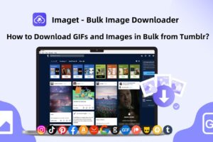 How to Download GIFs & Images in Bulk from Tumblr with Imaget?
