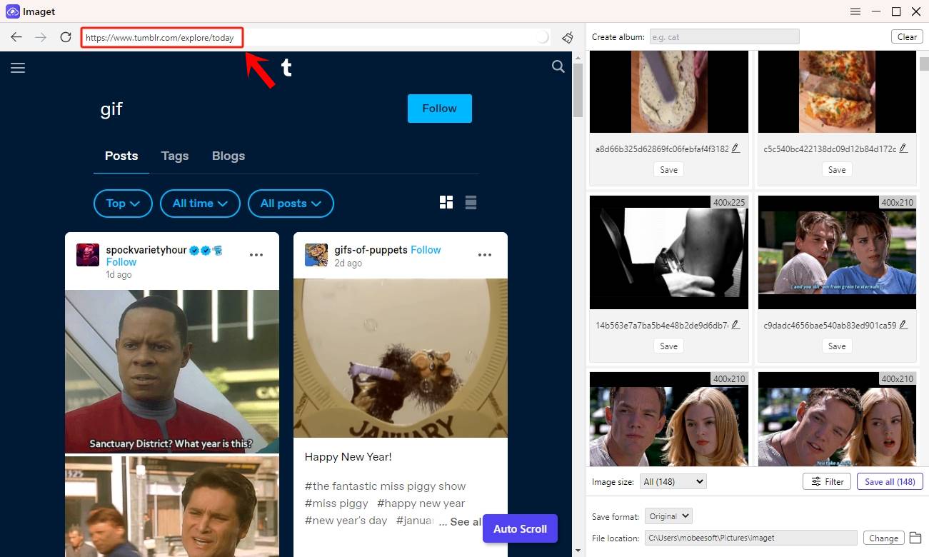 How to Download GIFs & Images in Bulk from Tumblr with Imaget: This is a screenshot of Imaget, with a Tumblr URL being entered into a designated input field at the top, highlighted.