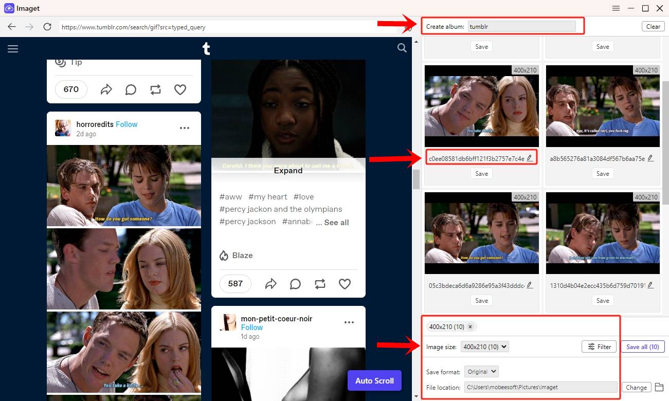 How to Download GIFs & Images in Bulk from Tumblr with Imaget: This screenshot displays the Imaget interface, showcasing the filter used to select GIFs and images for download based on their resolutions and formats. Additionally, users are able to configure download preferences according to their requirements.