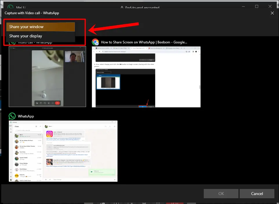 This image shows a screenshot from WhatsApp video call on a Windows PC. It also features the 'Share your window' and 'Share your display' options which both are highlighted indicating to select either one.