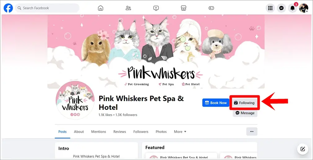A screenshot from a specific Facebook page with the 'Following' button highlighted.